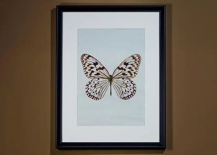 Frühstückspension Matteotti Matera